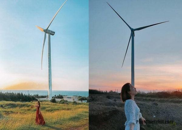 Summary of the famous Binh Thuan fan fields in 2022 11 1669803100 433 Cam nang du lich dao Phu Quy tu tuc tu