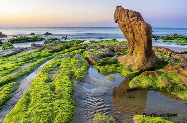 Biển Cổ Thạch Bình Thuận từ A-Z – Đẹp Tuyệt Vời