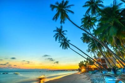 Trung tâm 40 bai bien dep nhat phan thiet chill 467