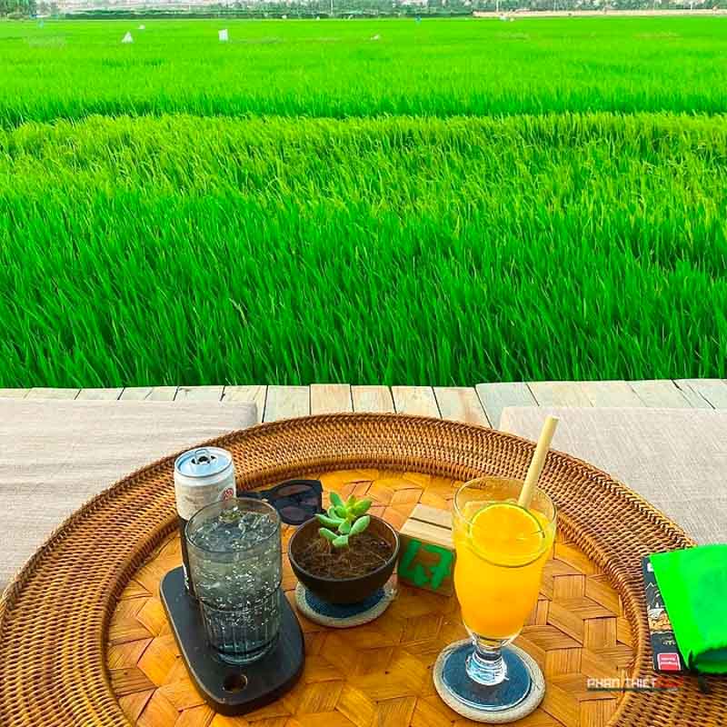 Quán cà phê rộng 30ha view ruộng lúa bao la xanh ngát ở Thái Lan đang gây  sốt rần rần