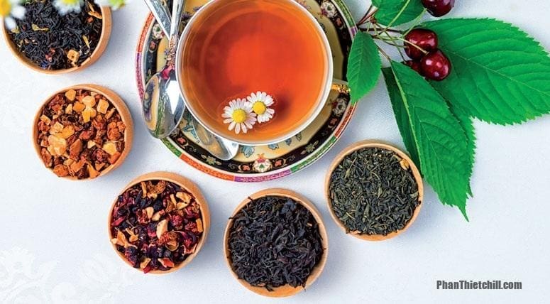 Chọn trà ngon làm quà biếu Tết là một lựa chọn rất hợp lý