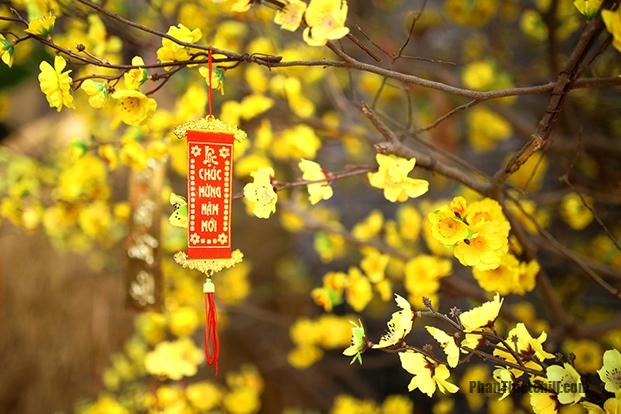 Lunar New Year? Origin and meaning of the lunar new year